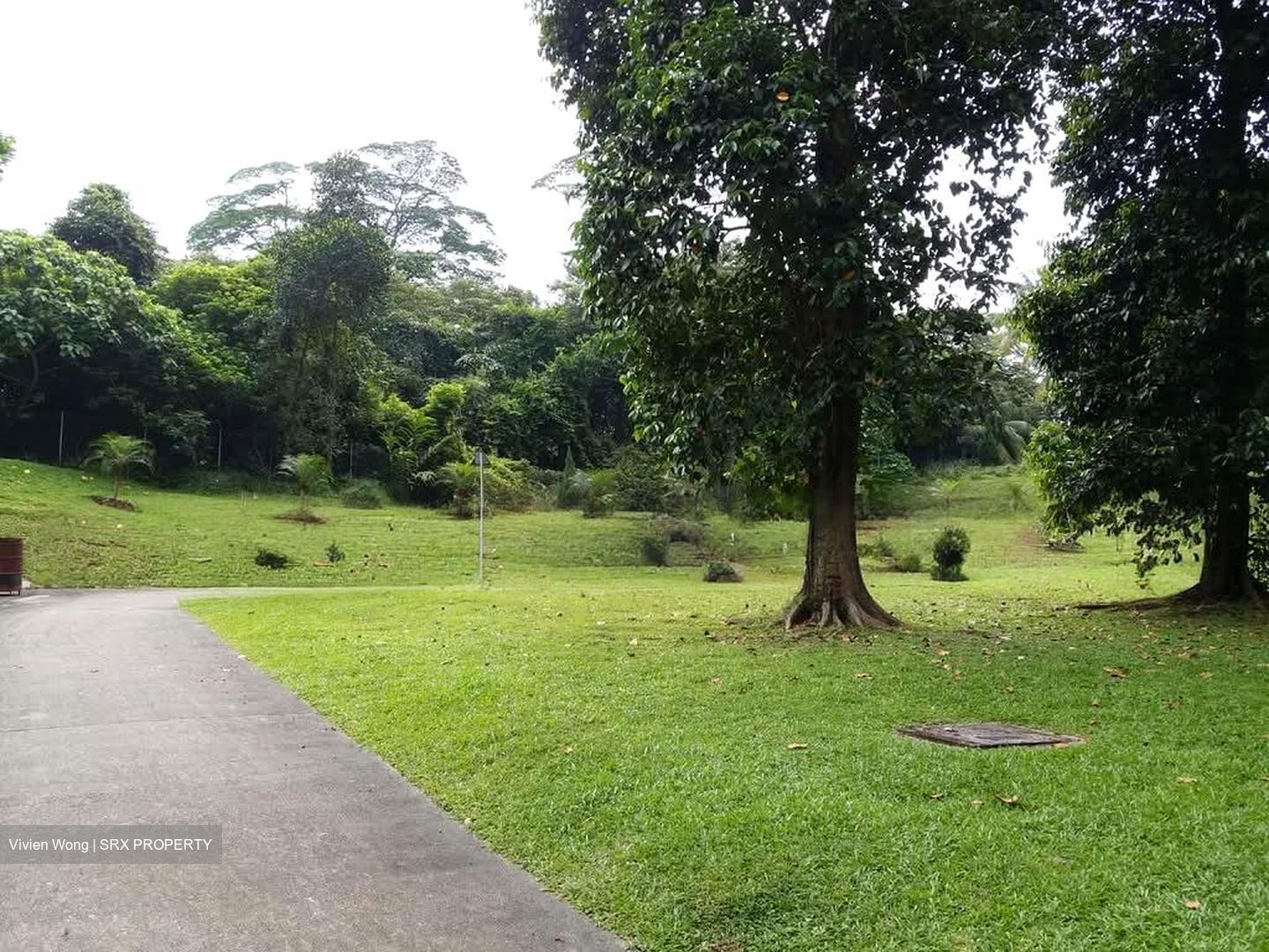 Braddell View (D20), Apartment #539605441